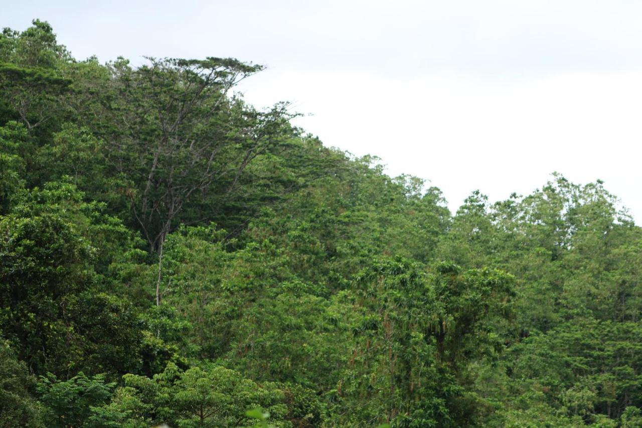 Funk Bunk - Mount View Lodge Kandy Luaran gambar